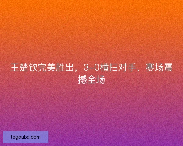 王楚钦完美胜出，3-0横扫对手，赛场震撼全场