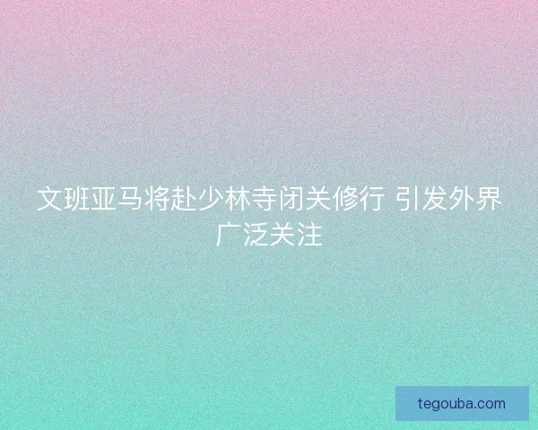 文班亚马将赴少林寺闭关修行 引发外界广泛关注 文班亚马将赴少林寺闭关修行 引发外界广泛关注
