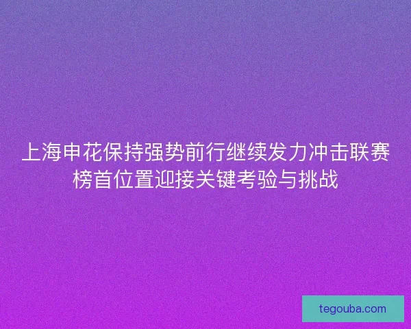 上海申花保持强势前行继续发力冲击联赛榜首位置迎接关键考验与挑战