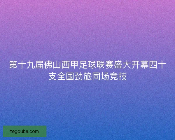 第十九届佛山西甲足球联赛盛大开幕四十支全国劲旅同场竞技